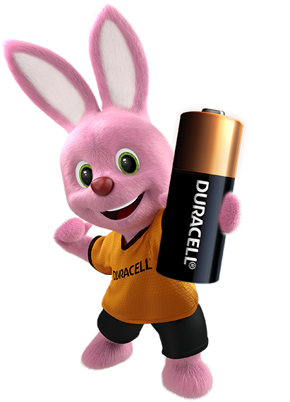 Specialty MN21 alkaline batteries - Duracell